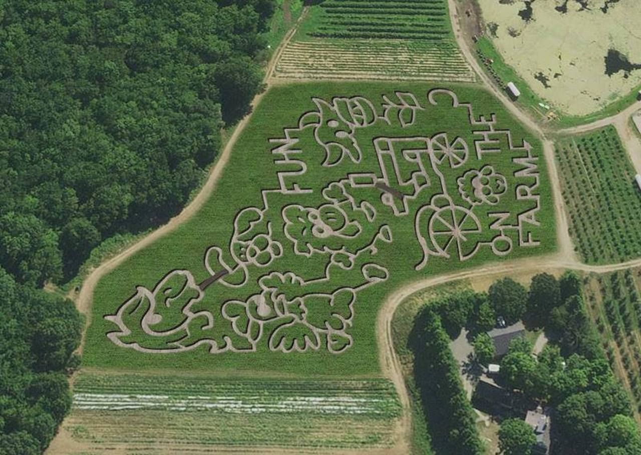 Aerial view of Connors Farm corn maze in Danvers, Massachusetts
