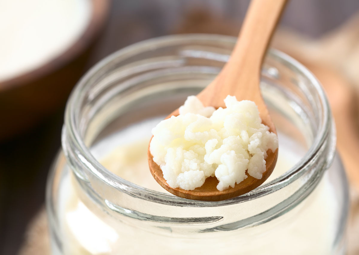 Milk Kefir Grains