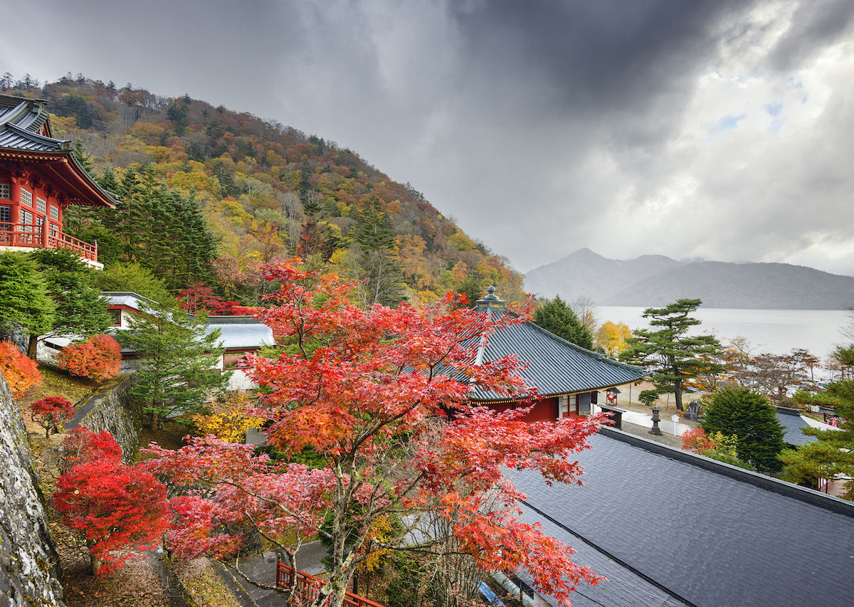 Nikko japan on sale