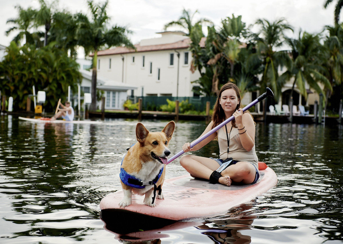 airbnb animal experiences airbnb animal experiences