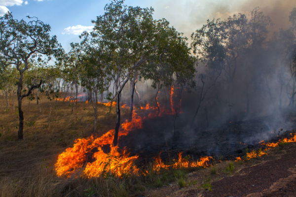 australia-bush-fire-crisis-continues-as-dire-conditions-expected-again