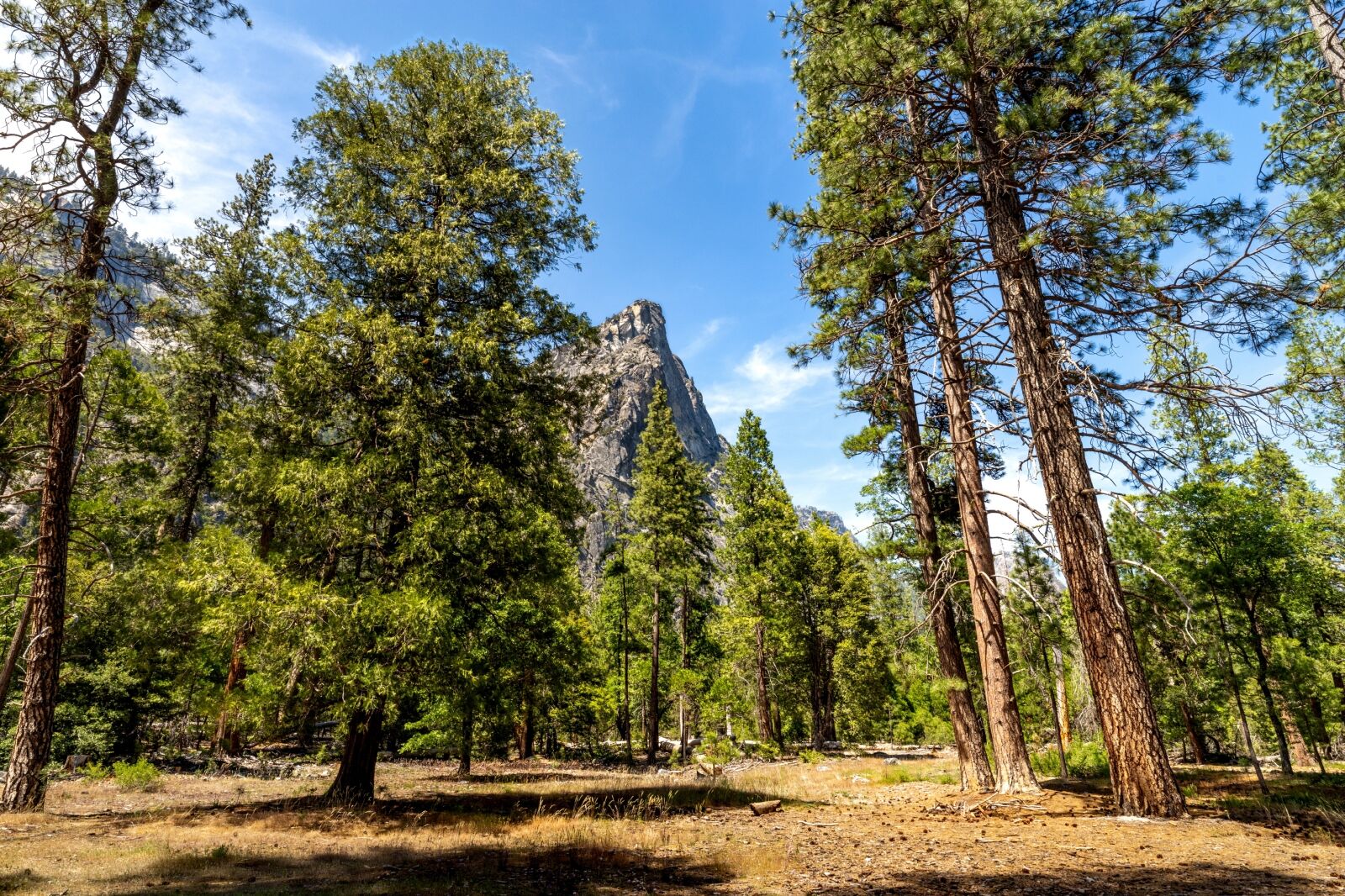TravelWireDaily — Best national park campgrounds