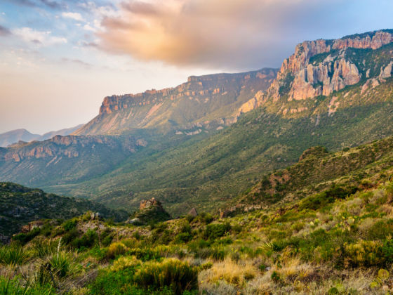 Big Bend National Park In May – Best Time to Visit Big Bend National ...