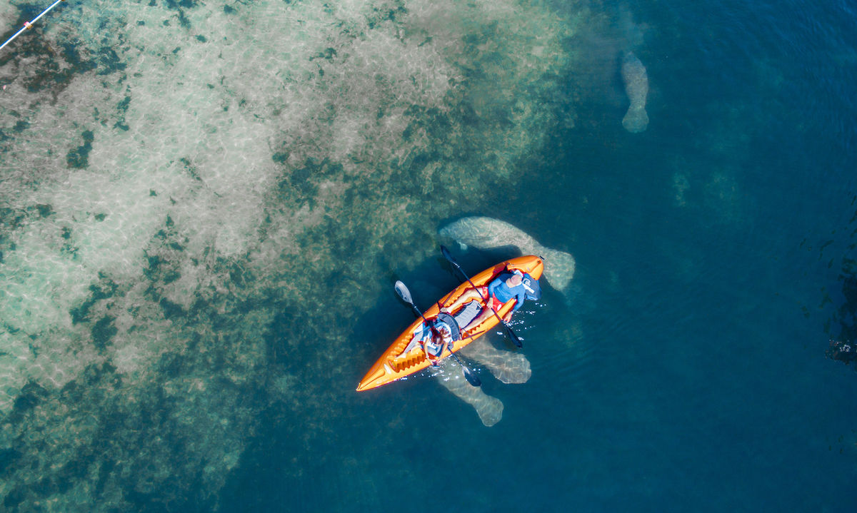 Things To Do Where To Eat In Crystal River Florida