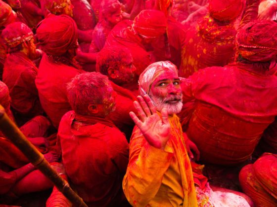Everything you've ever wanted to know about holi powder - Holi