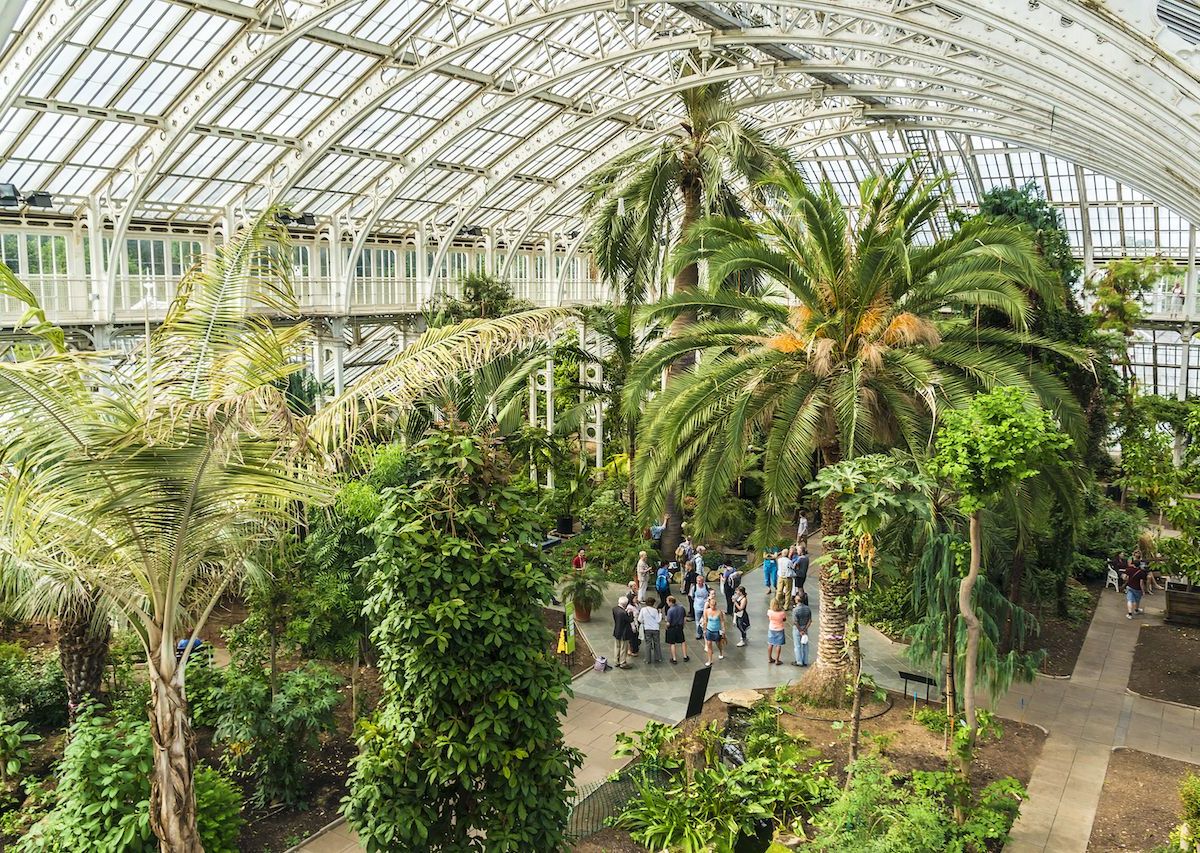 London’s Kew Gardens Will Protect Australia’s Plants and Trees