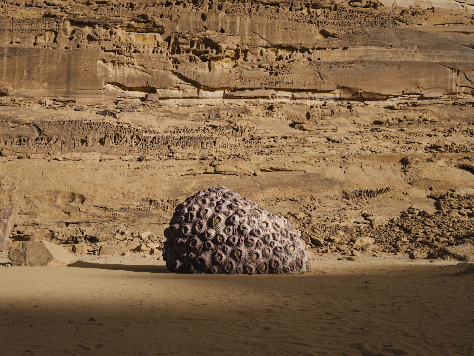 Art installation in the Saudi Arabian desert for Desert X 2022.