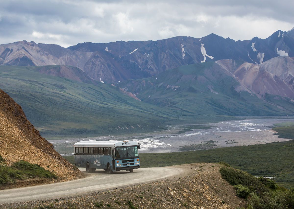 bus tours denali national park