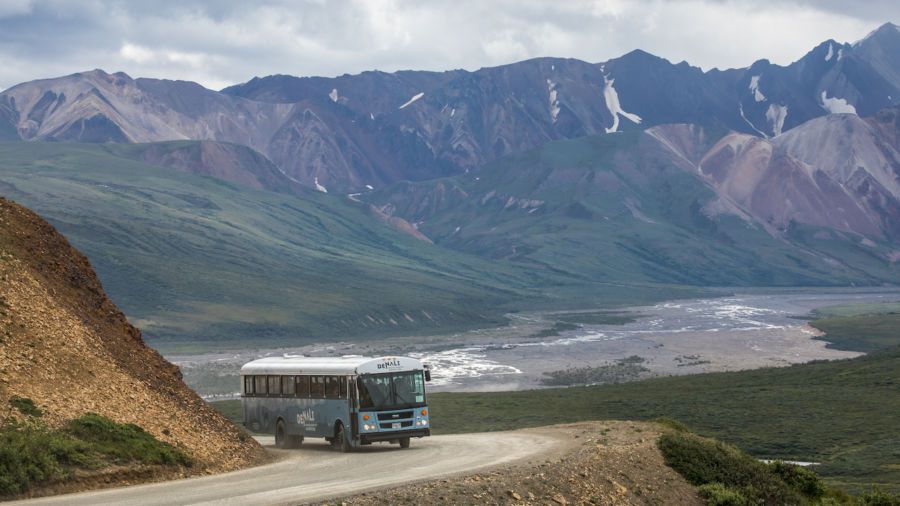 Bus Tour Of Denali National Park In One Day