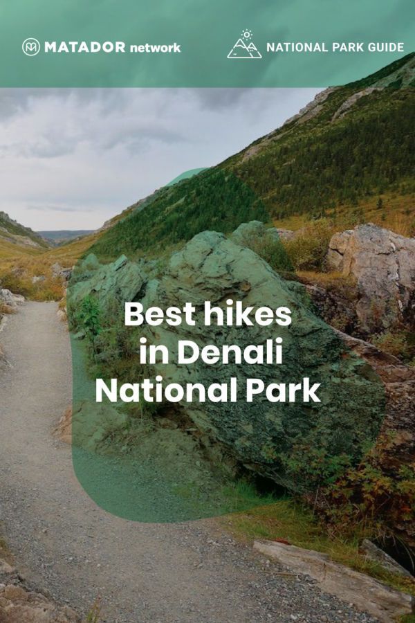 GUIDED HIKES DENALI NATIONAL PARK visual data 8