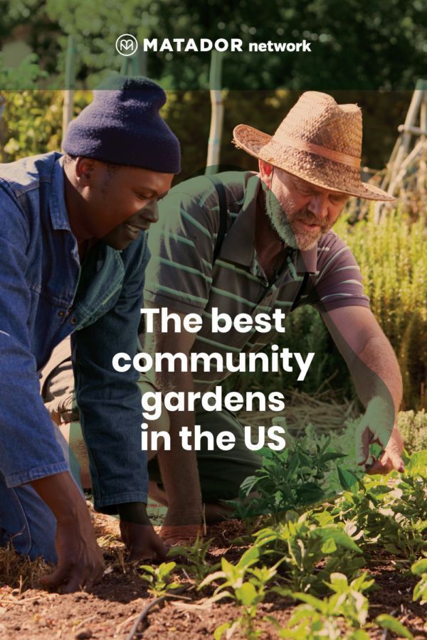 Best Community Gardens in the US