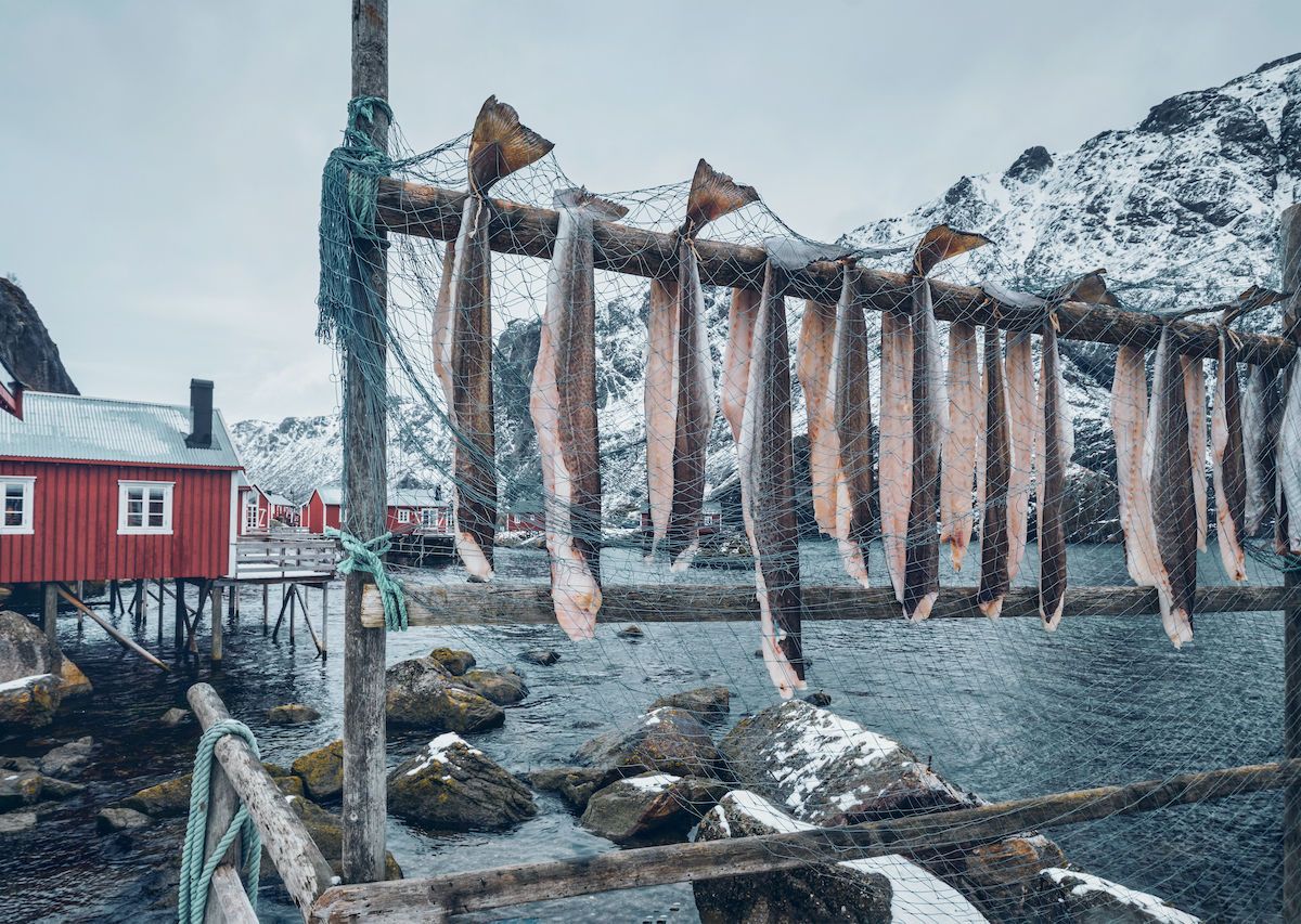 Stockfisch from Norway – Northern Fish Codfish