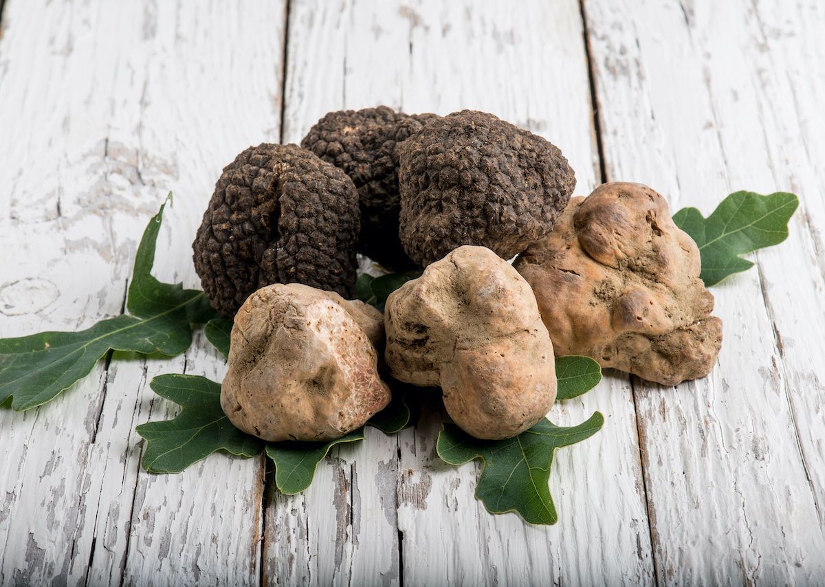 The Difference Between White And Black Truffles