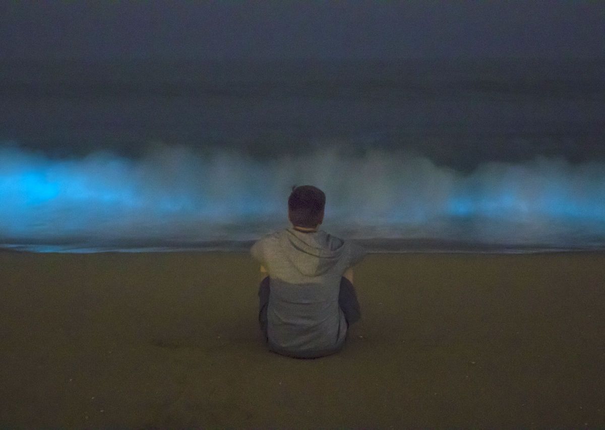 Bioluminescence in Newport Beach, California