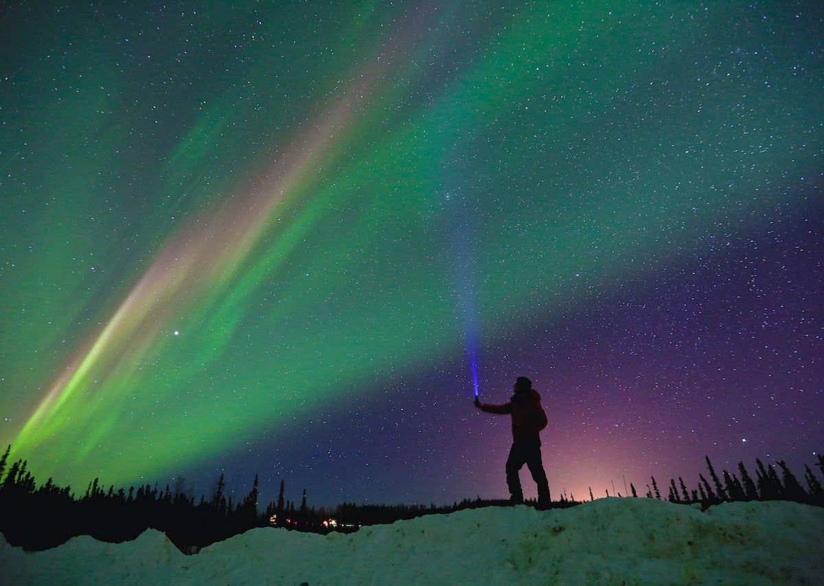 Northern Lights August 2024 Alaska Devon Fidelia