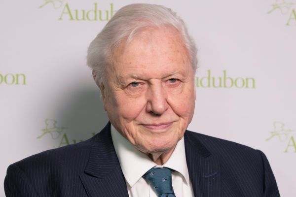 David Attenborough Asks World Leaders To Take Action On Environment Now