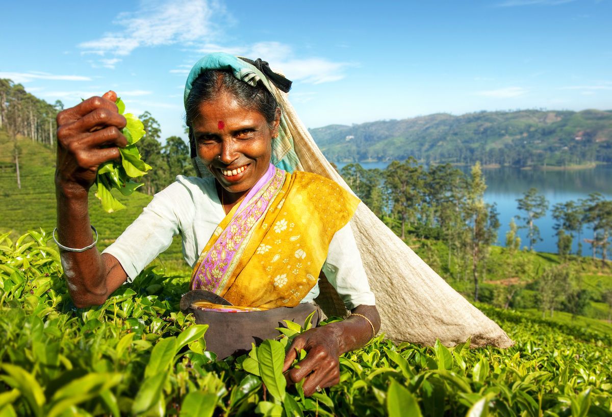 hidden-hope-a-visit-to-a-sri-lankan-tea-estate