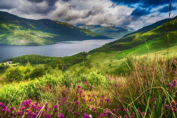 New Whisky Distillery in Scotland’s Loch Lomond