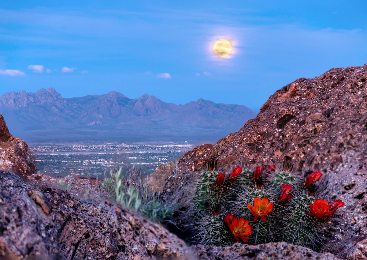 Best Things To Do in Las Cruces, New Mexico