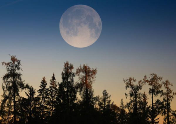 The Last Supermoon of 2020 Is Taking Place on May 7