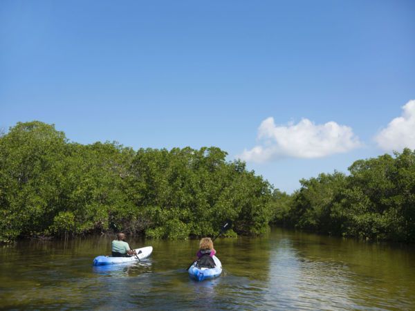 Paddling Guide: How To Kayak and SUP on The Beaches of Fort Myers & Sanibel