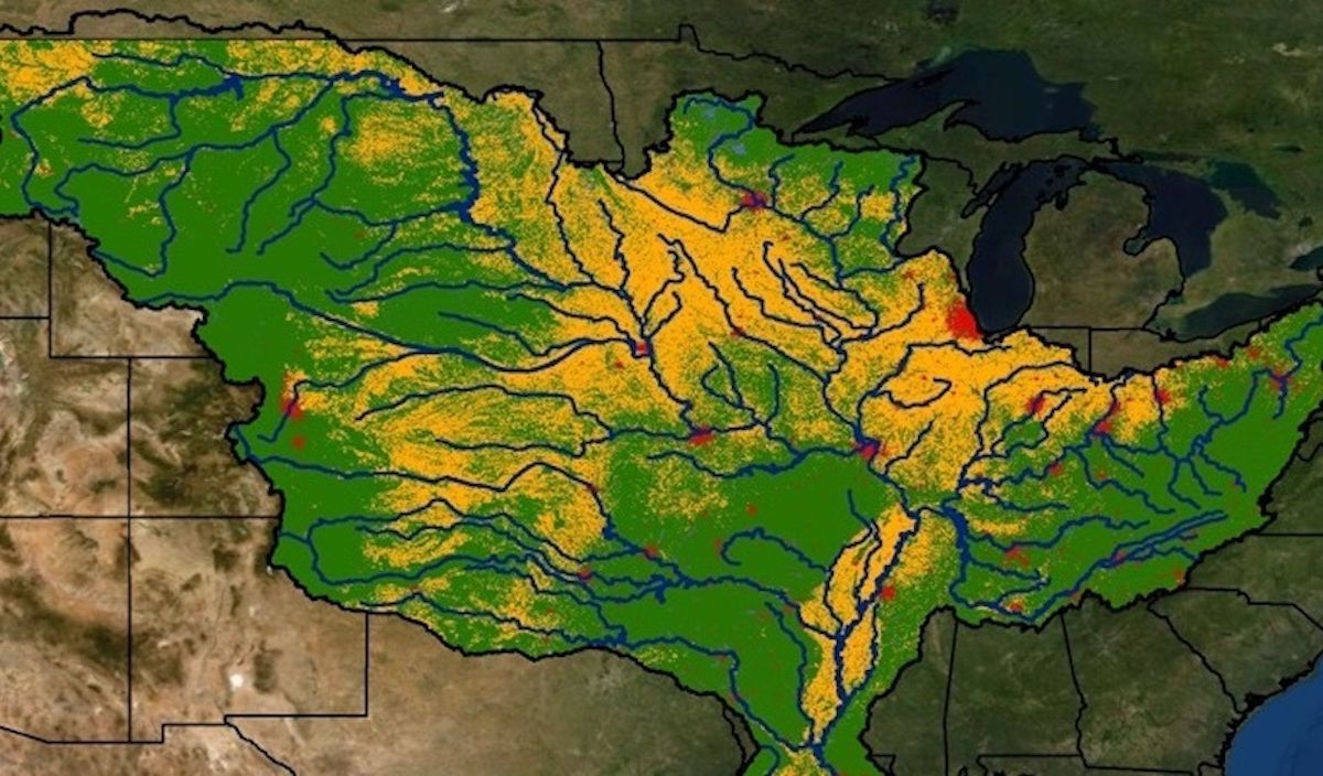Dead Zone In Gulf Of Mexico Will Be Very Large In 2020 dead-zone-in-gulf-of-mexico-will-be-very-large-in-2020