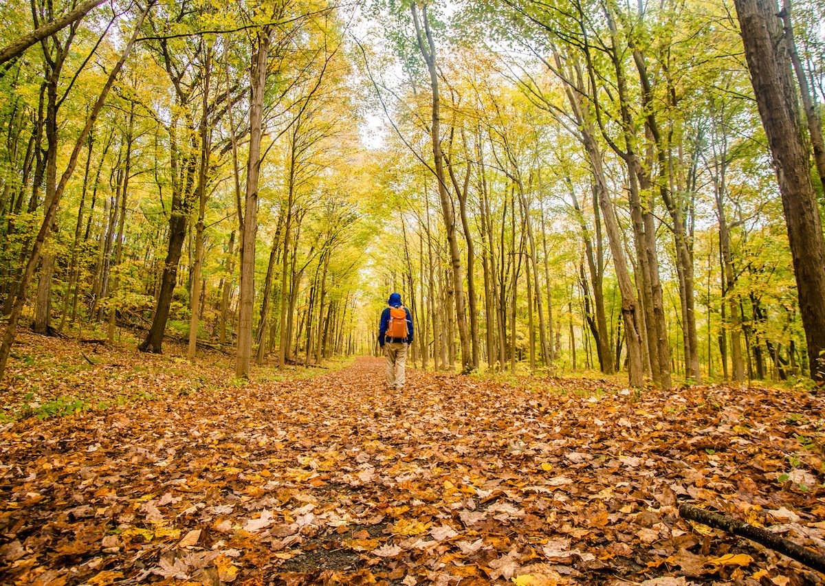 The 12 Most Beautiful New England State Parks