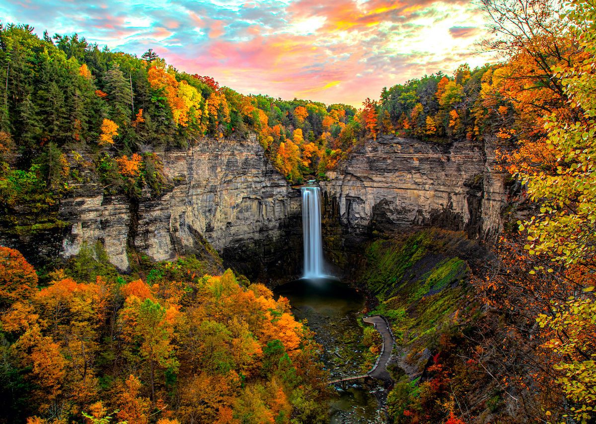 Best Fall Foliage Near Me Today