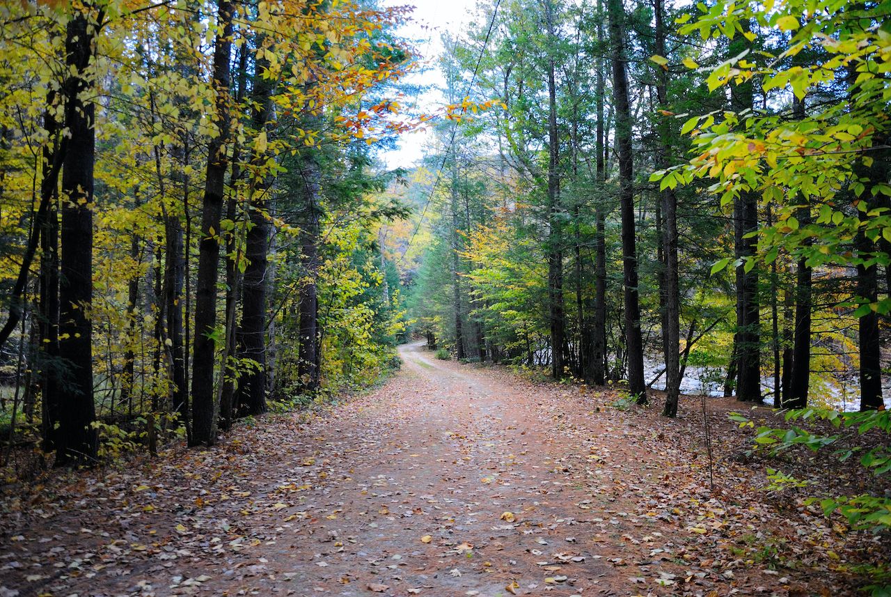 Quiet trails in Mohawk Trail State Forest in the Berkshires make it one of the best New England state parks for quiet hikes