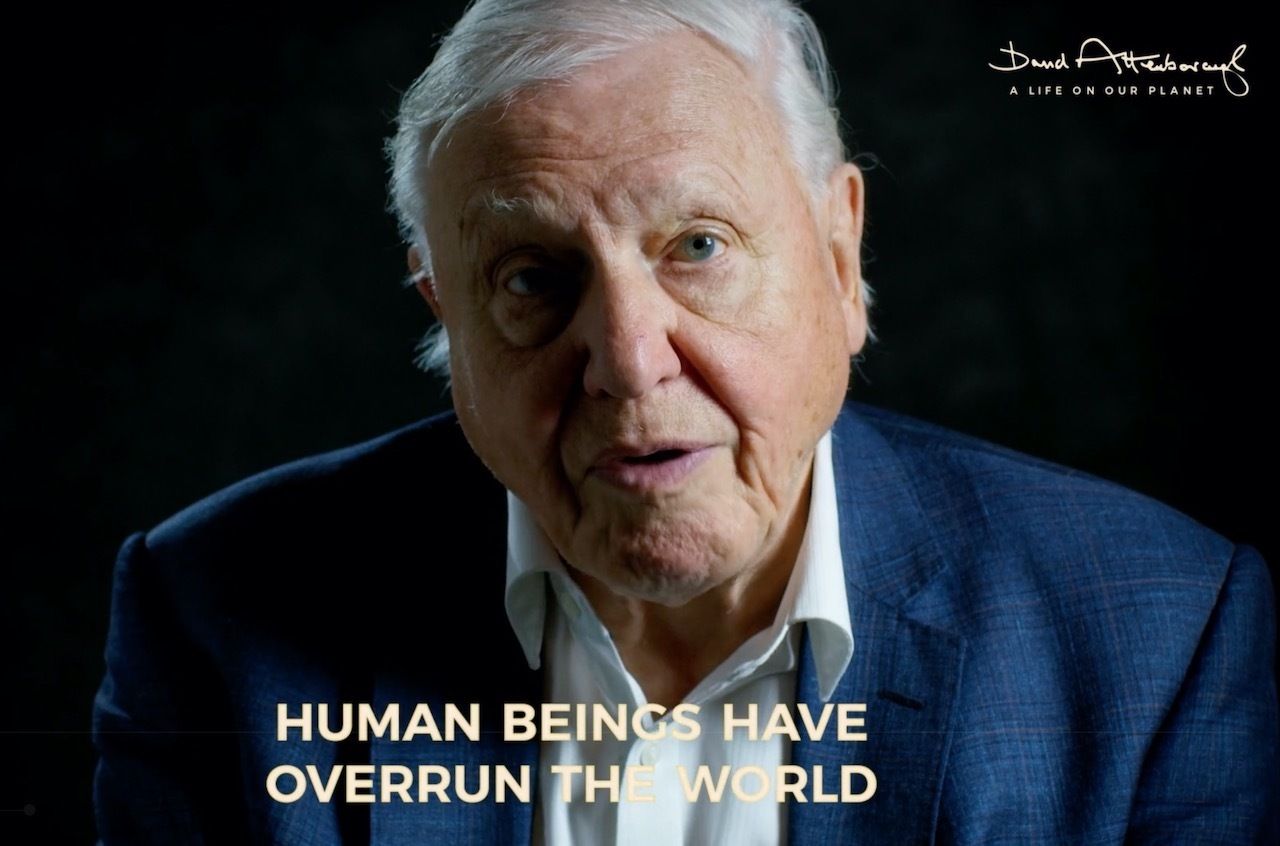 New David Attenborough Documentary A Life On Our Planet