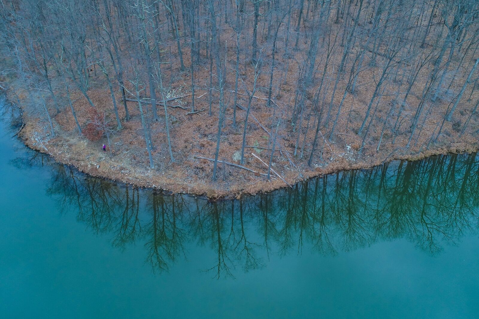 An aerial view of Little Seneca Creek