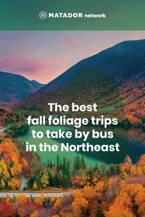 Best Fall Foliage Bus Tours in New England and New York