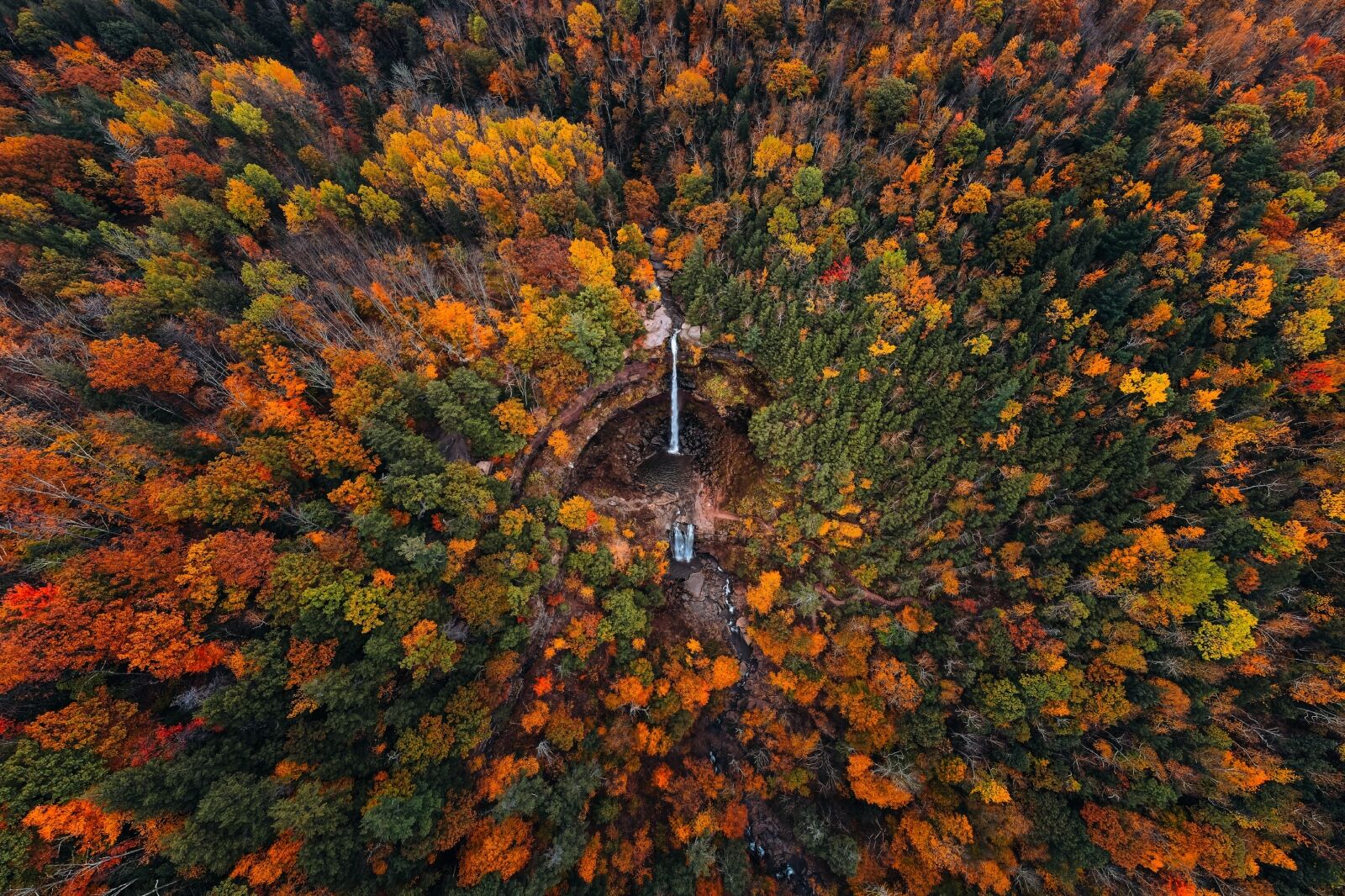 Epic Autumn Fall Foliage Landscape Aerial Drone View. Kaaterskill Falls New York Catskills Colorful Trees Panorama From Above Nature Wallpaper Remote