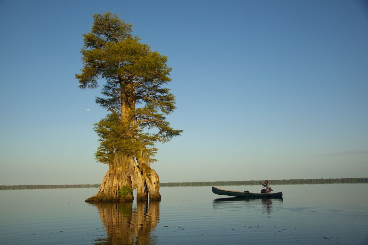 7 incredible natural areas in Virginia you’ve probably never heard of