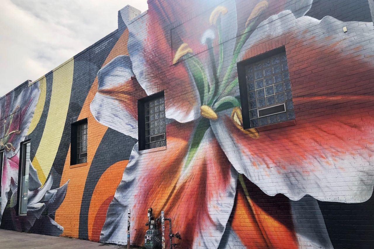 Denver street art festival