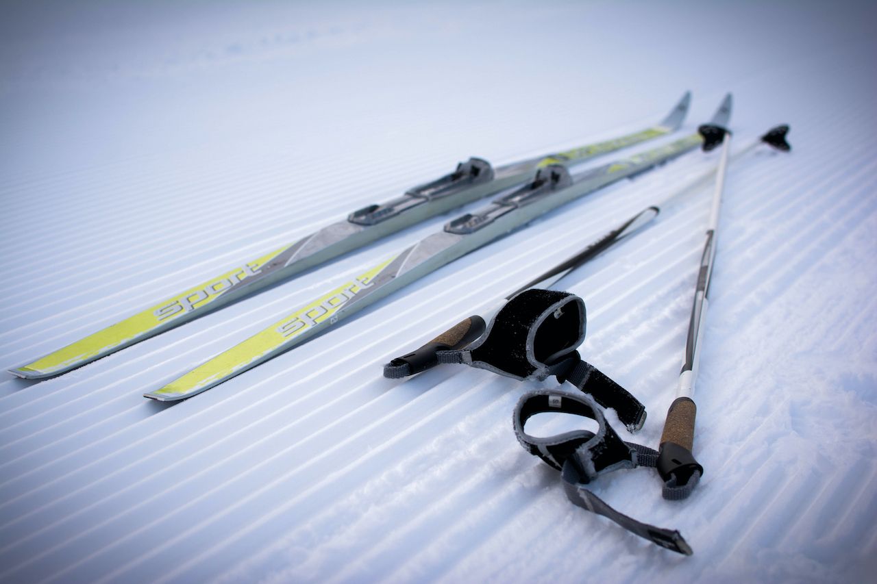 Buy > cross country skiing accessories > in stock