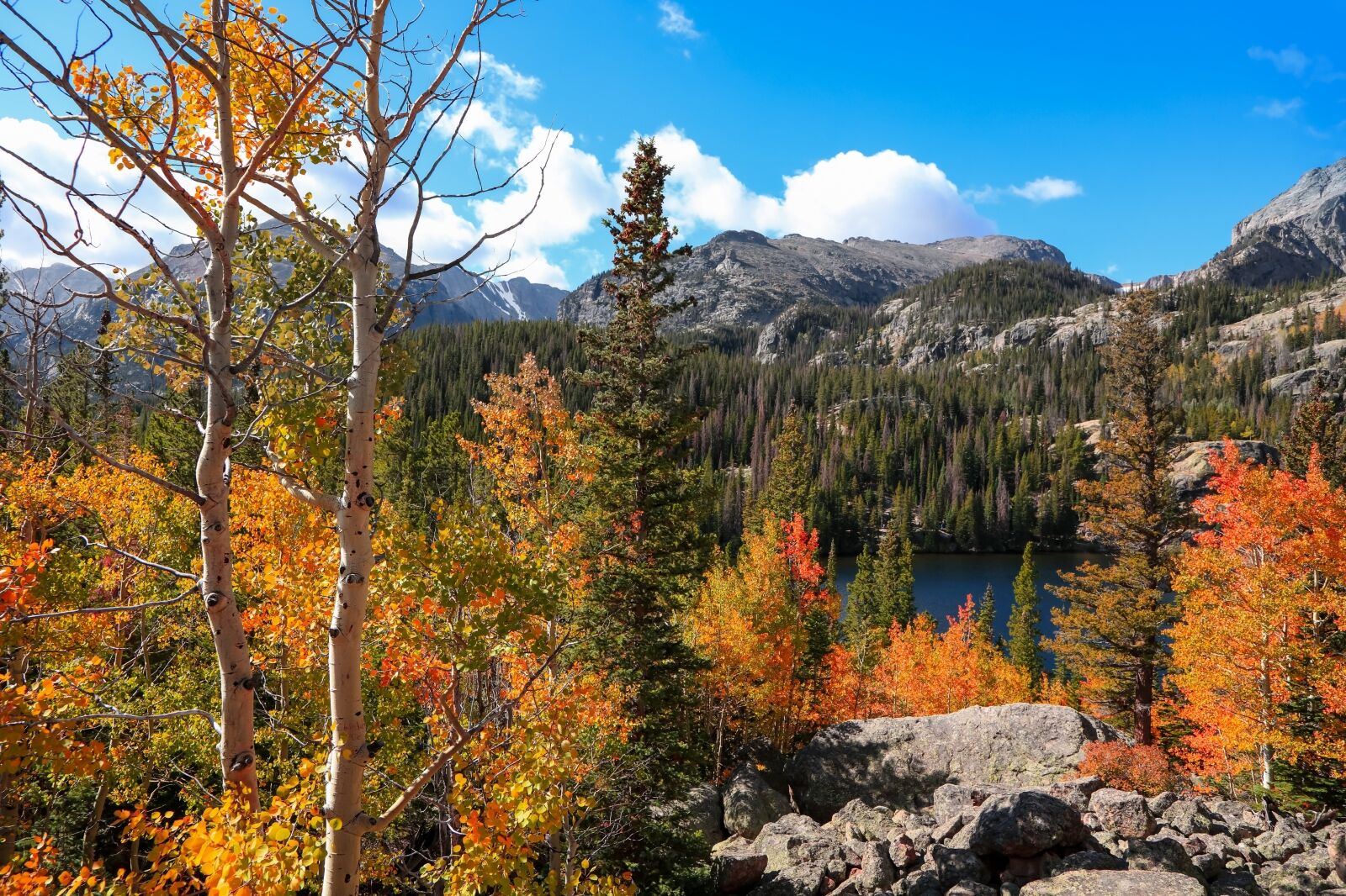 Fall foliage in Rocky mountain national park one of the best national parks to visit in fall
