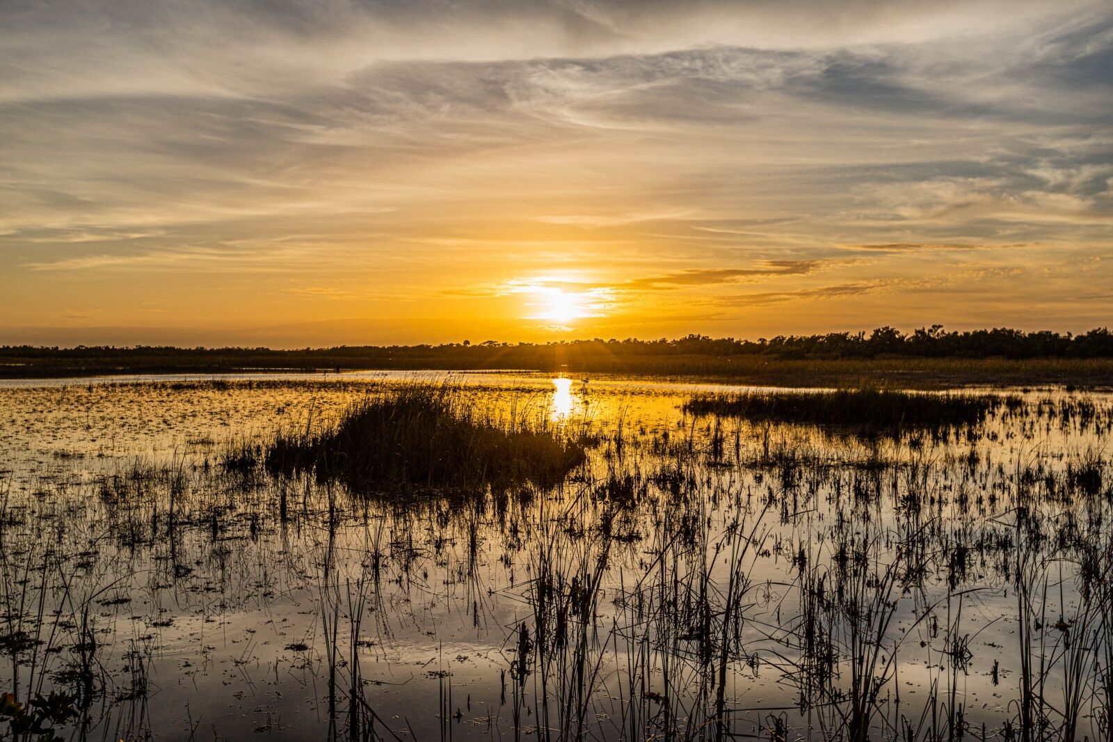 Sunset Big Cypress National Preserve a great place for stargazing 
 