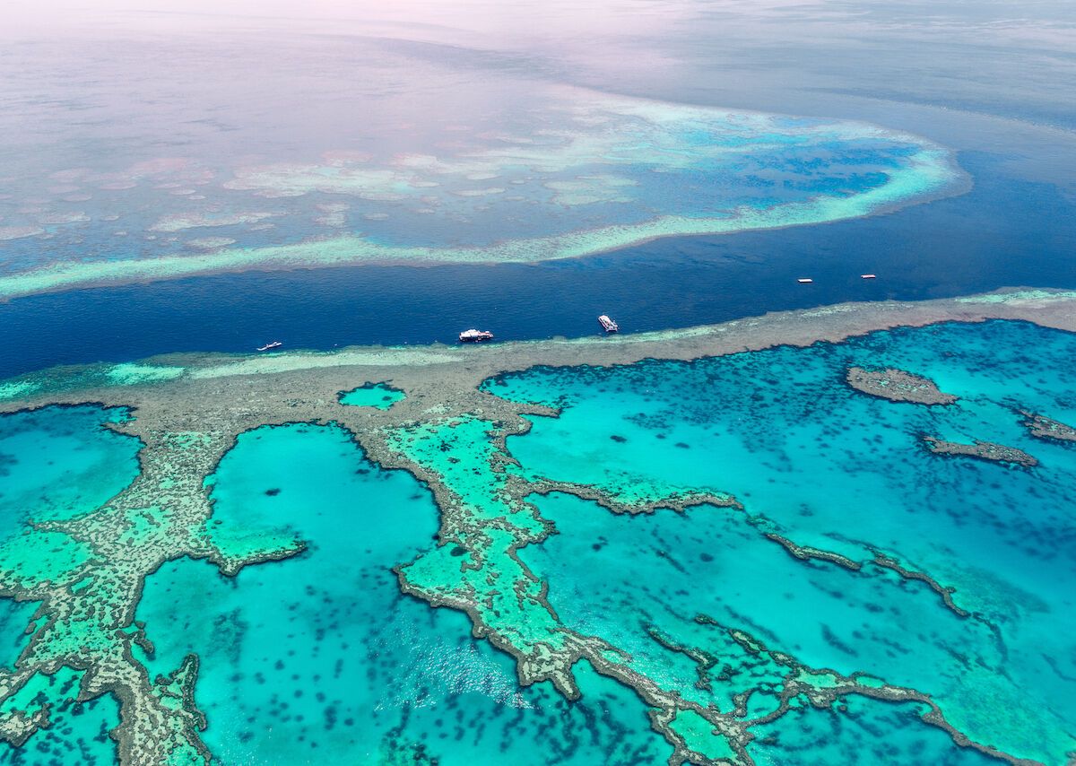 A Coral Reef the Size of a Skyscraper Was Found in Australia