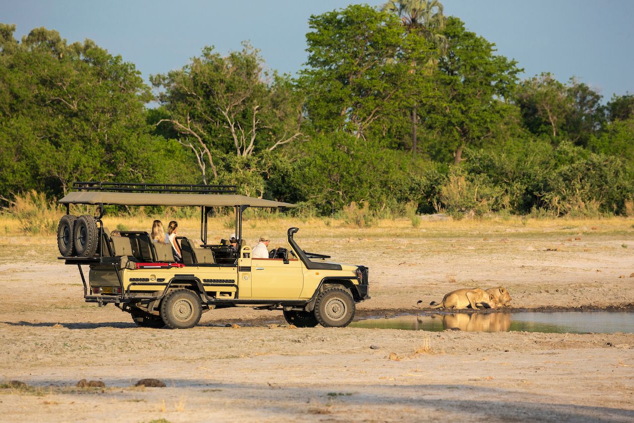 Safari car