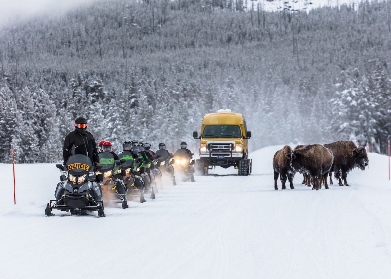 Snowmobiling Yellowstone Country Montana: Everything you need to know