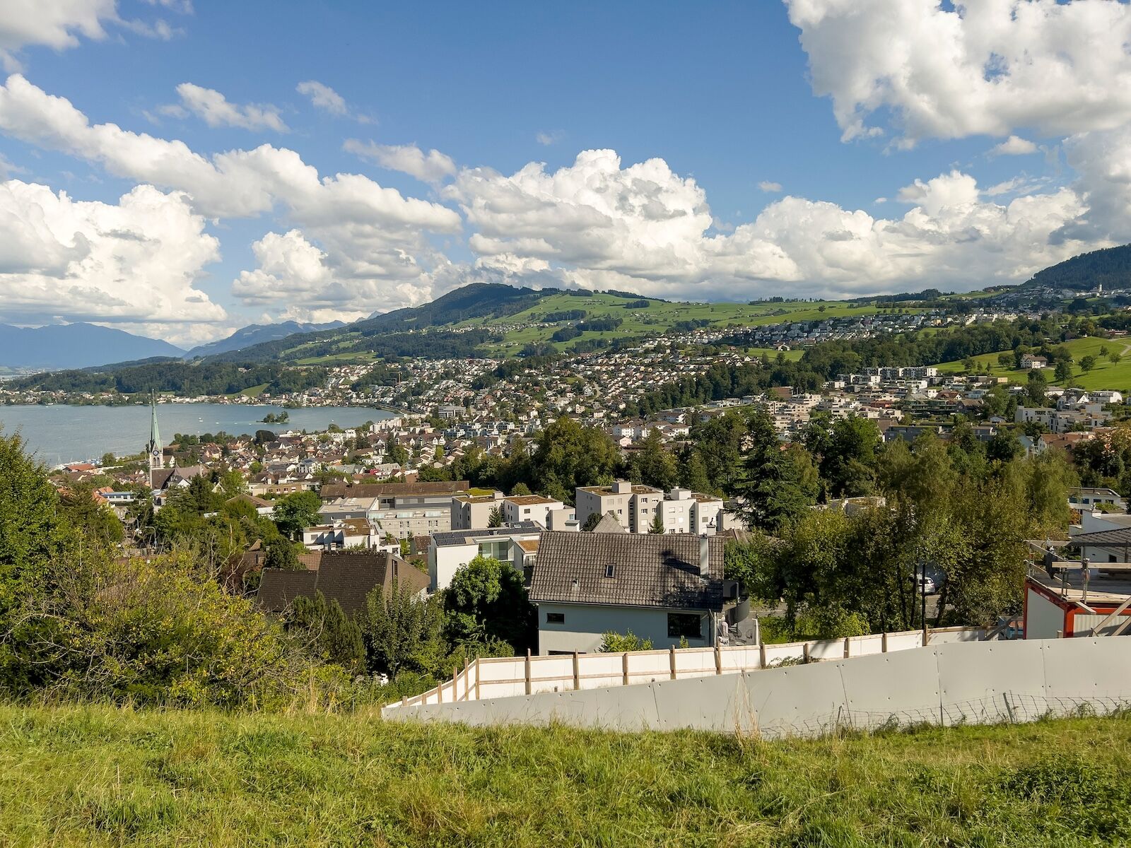 switzerland turnip festival town 