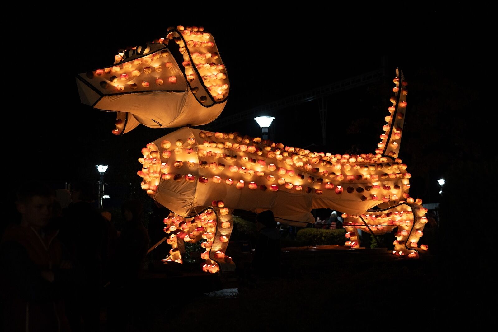 switzerland turnip festivals - turnip dog