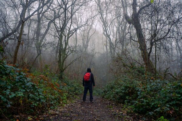 9 Spooky Forests Filled With Creepy Legends From Around the World