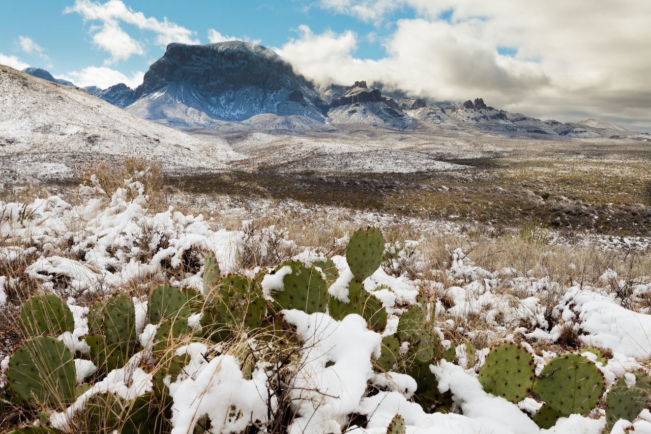 Chihuahuan with snow, one of the best deserts in the US to visit in winter 