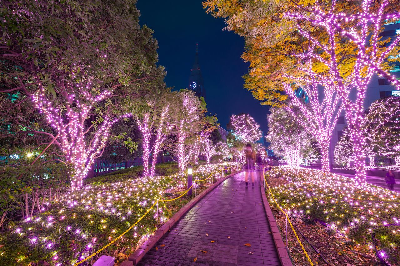 Pink Christmas lights decorating trees in a garden in Japan