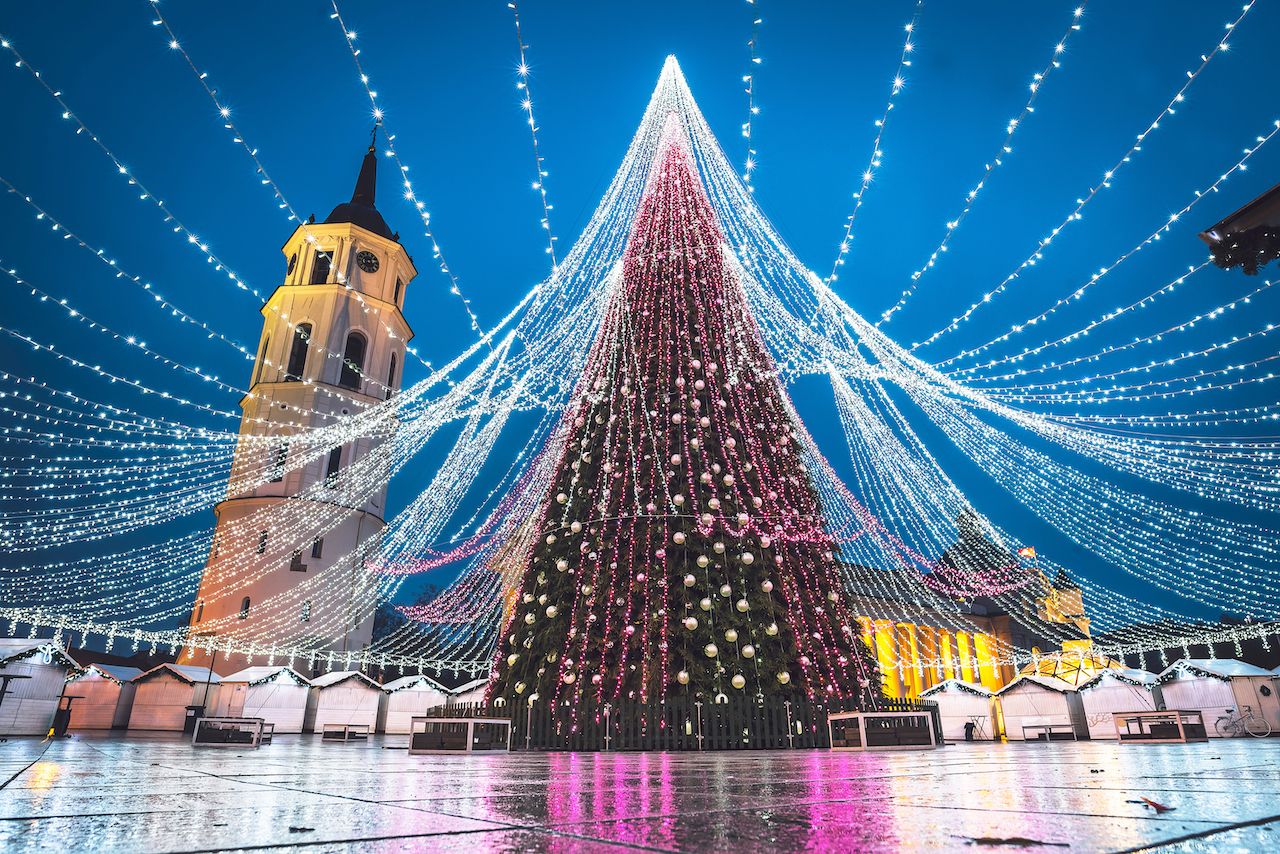 A massive Christmas tree in Vilnius stretches an impressive holiday light display over a public square