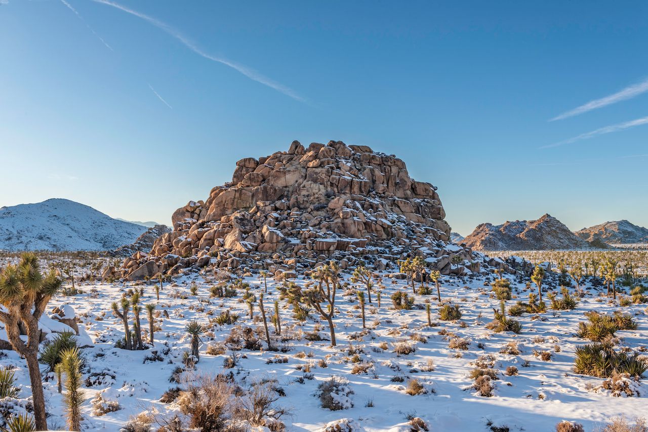 Joshua Tree National Park is one of the best deserts to visit in the US