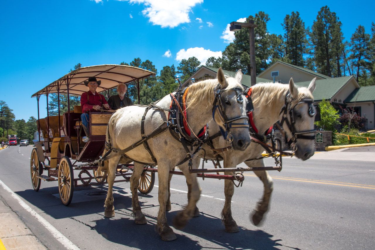 Ruidoso, NM, is the next big destination for remote families. Here’s why.