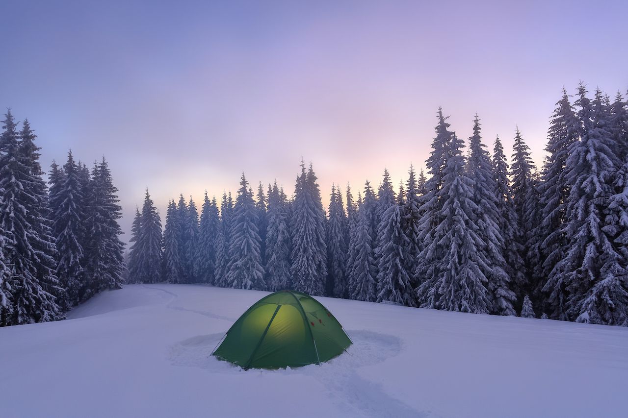 Winter tent camping between fir trees